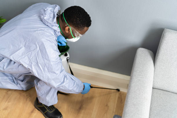 Best Bed Bug Extermination  in Roselle, IL